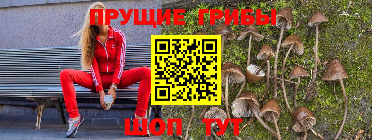 где найти   Галлюциногенные грибы мицелий  Вход с VPN  Янаул 